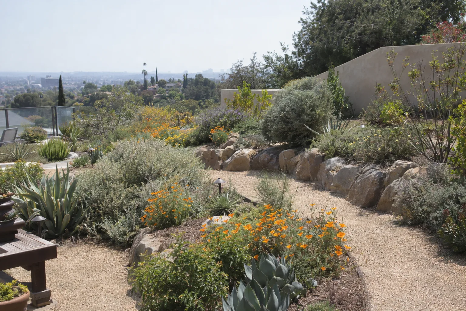 A hillside Los Angeles residential yard planted with native drought-tolerant plants including sage and succulents, with decomposed granite paths and a low stucco retaining wall under bright hazy sunlight