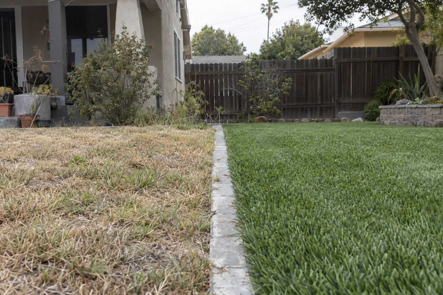 A Los Angeles residential yard with drought-stressed natural grass on one side and lush artificial turf on the other, separated by a clean trim edge, with a wood fence in the background.