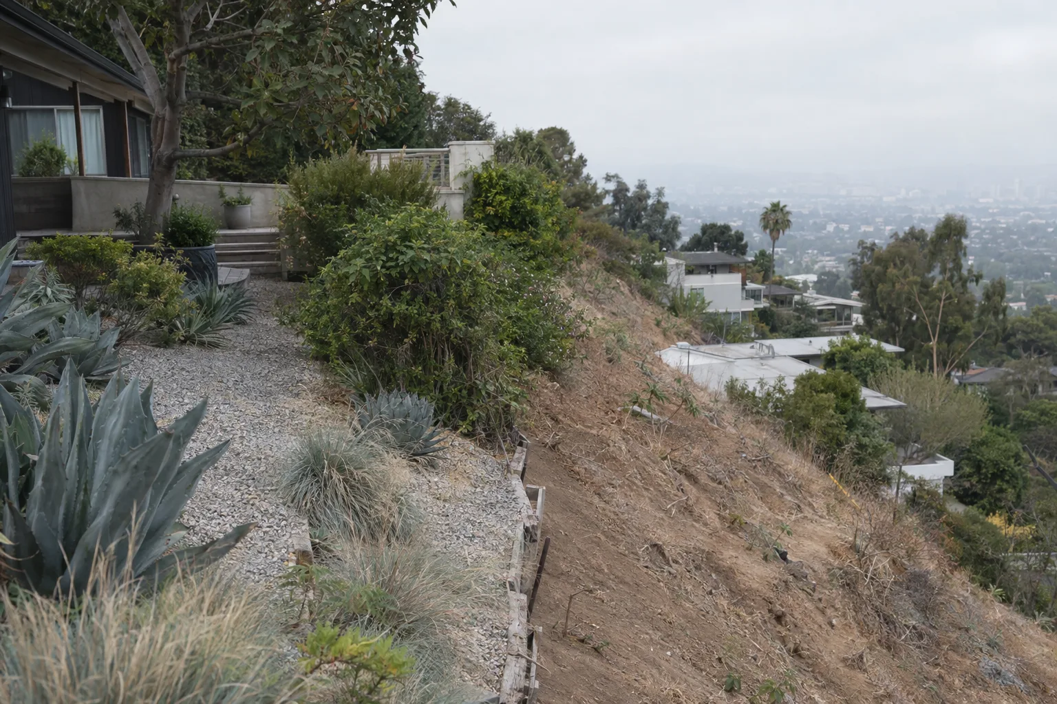 A sloping Los Angeles residential lot with a dry sun-exposed corner beside a shaded area planted with succulents and gravel mulch, under soft morning marine-layer light with hillside homes visible in the distance.