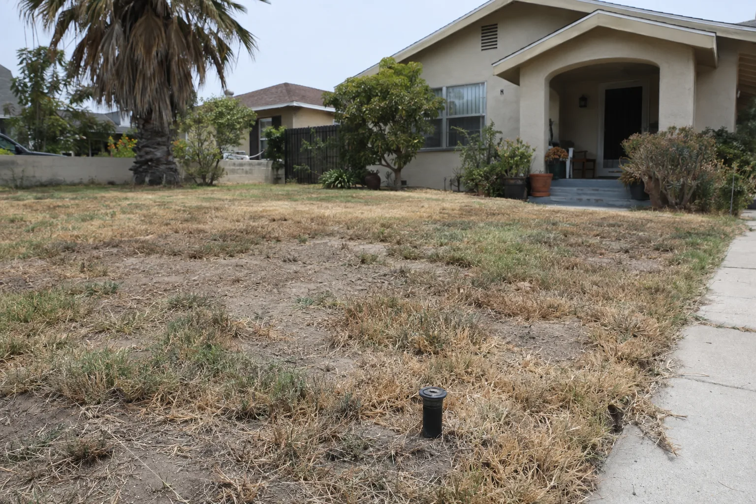 A drought-stressed front lawn of a Los Angeles stucco home, with patchy yellowed grass, exposed dirt patches, and a sprinkler head visible near a concrete walkway under harsh midday sun