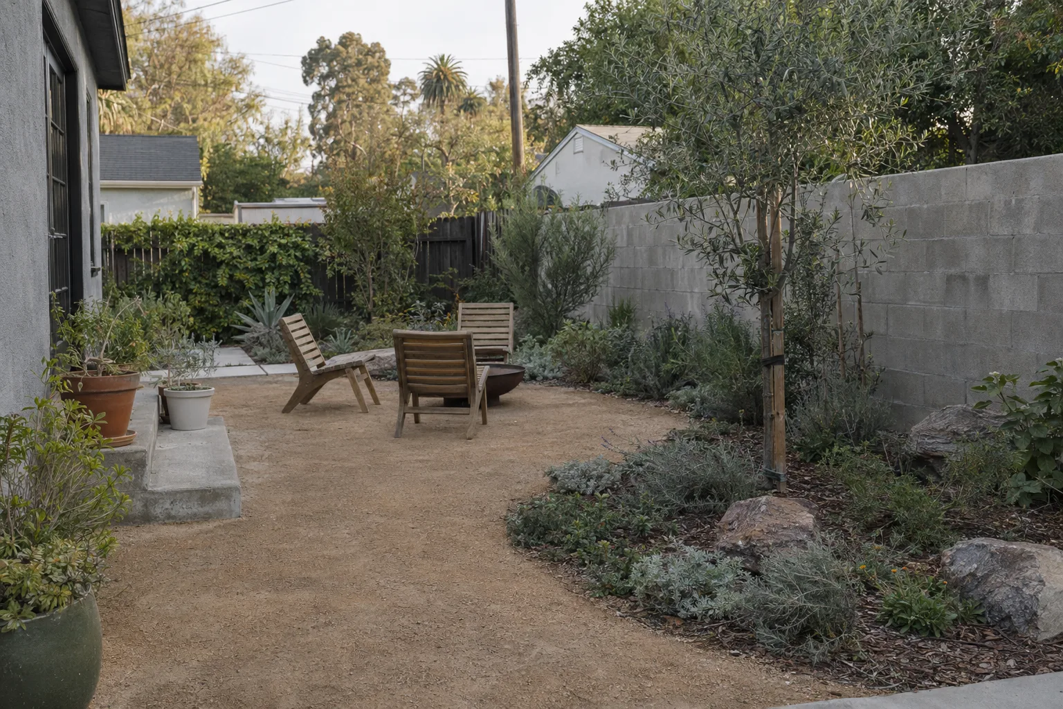 A newly completed Los Angeles backyard with decomposed granite paving, a young olive tree, low native groundcover, and a concrete-block privacy wall under warm afternoon light