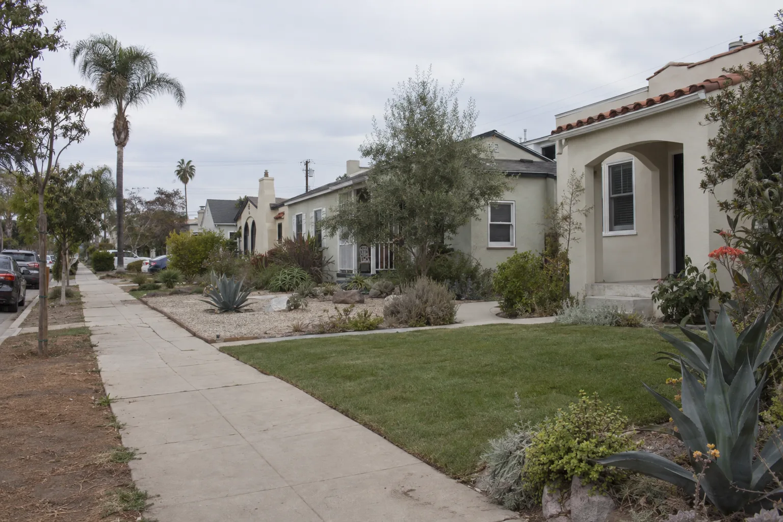 A coastal Los Angeles residential street showing stucco bungalows with varied front yards - drought-tolerant plants, gravel, and a small green lawn - under soft marine-layer morning light