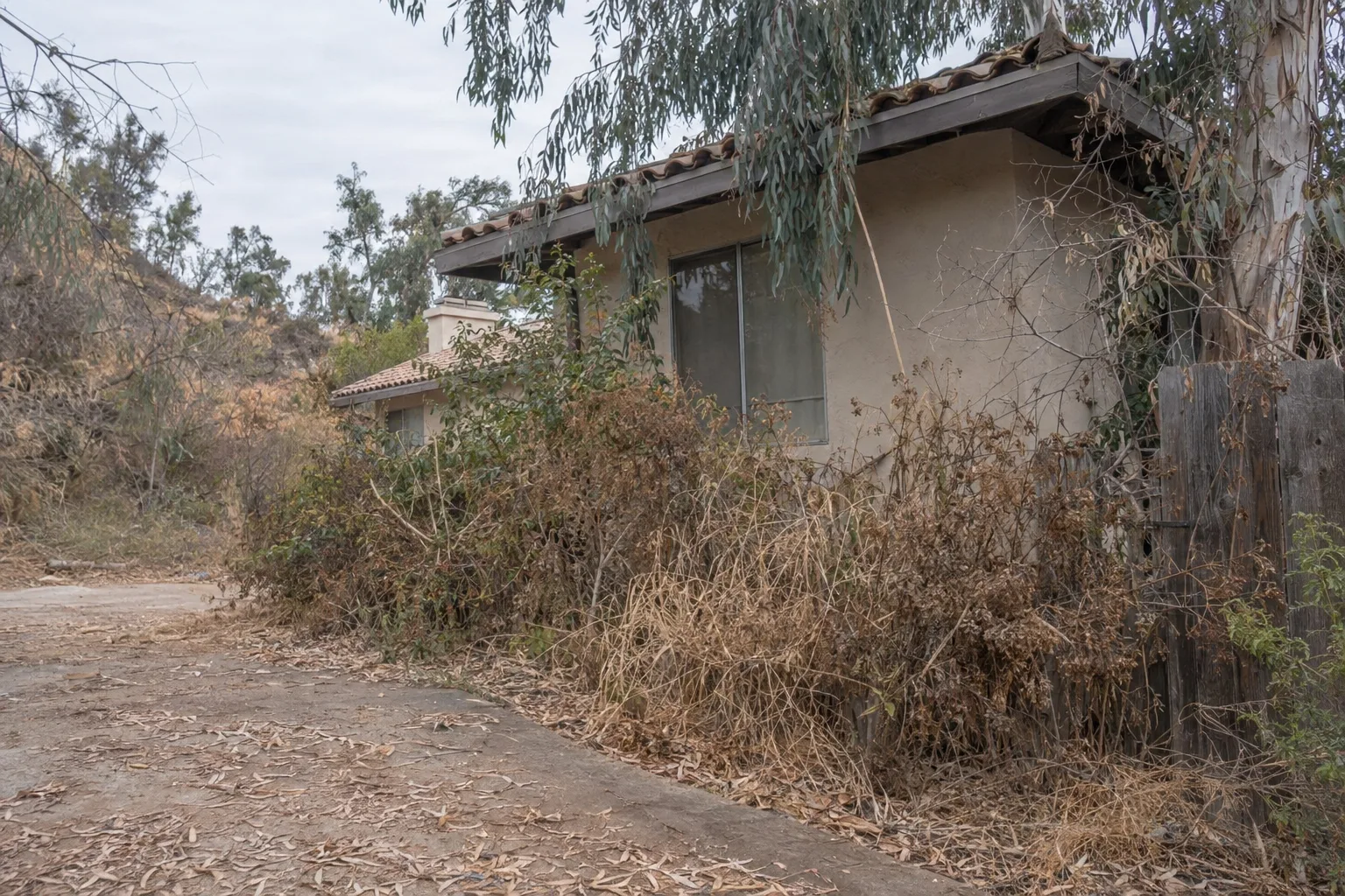 A hillside stucco house in Los Angeles with dense dry chaparral, dead grass, and overgrown shrubs crowding directly against the walls and fence, representing a heavy fuel load fire hazard
