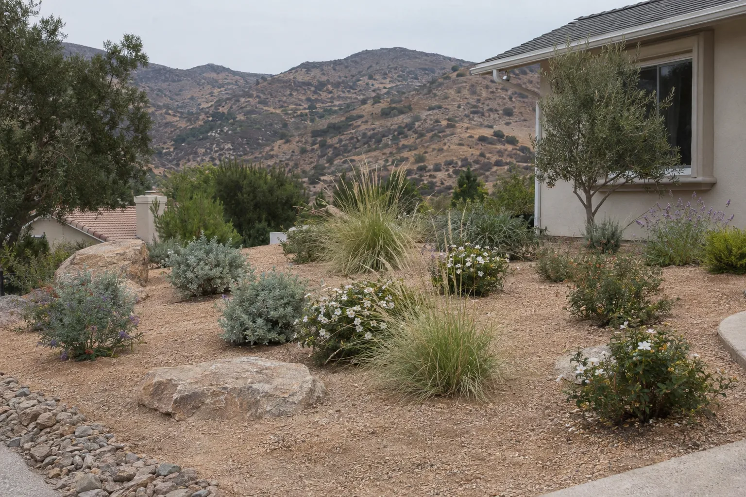 A sloped Southern California yard with fire-resistant native plants - sage, rockrose, and ornamental grasses - spaced apart on decomposed granite mulch, with dry hills visible in the background