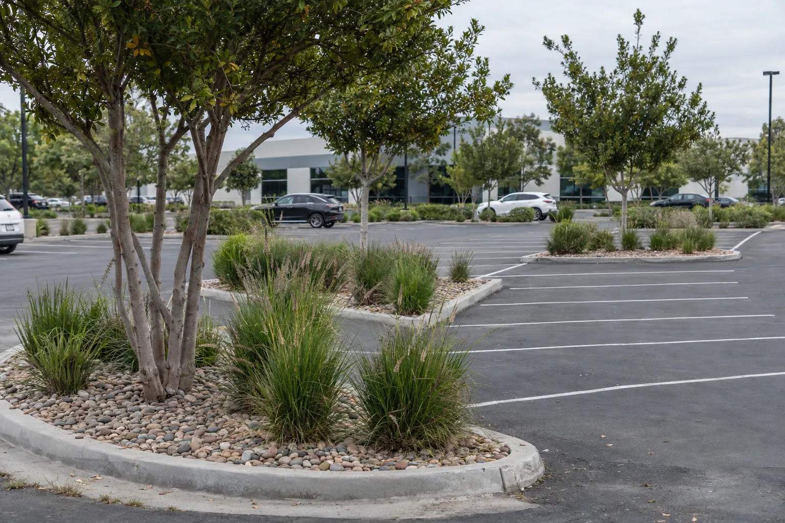 Overhead view of a sun-lit commercial parking lot in Los Angeles with landscape islands containing ornamental grasses, river rock mulch, and small accent trees neatly maintained between rows of parking spaces