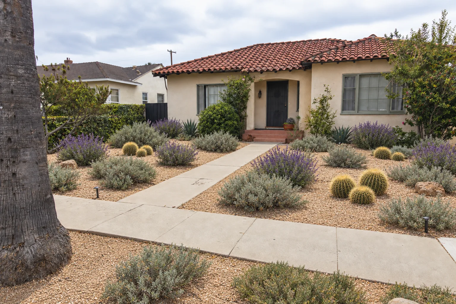 A drought-tolerant front yard at a Los Angeles stucco bungalow, featuring decomposed granite, native salvias, sagebrush, and barrel cactus replacing a former lawn, with the original concrete walkway retained
