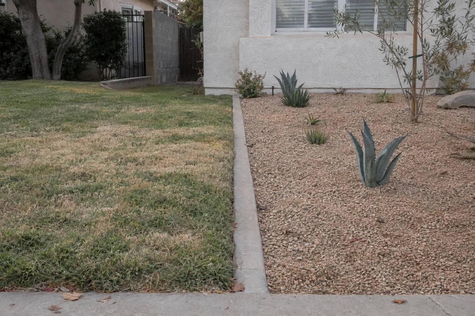 Two adjoining front yard sections separated by concrete edging - one with dry patchy grass and one with decomposed granite and young succulent plantings - photographed in hazy afternoon light against a stucco wall.