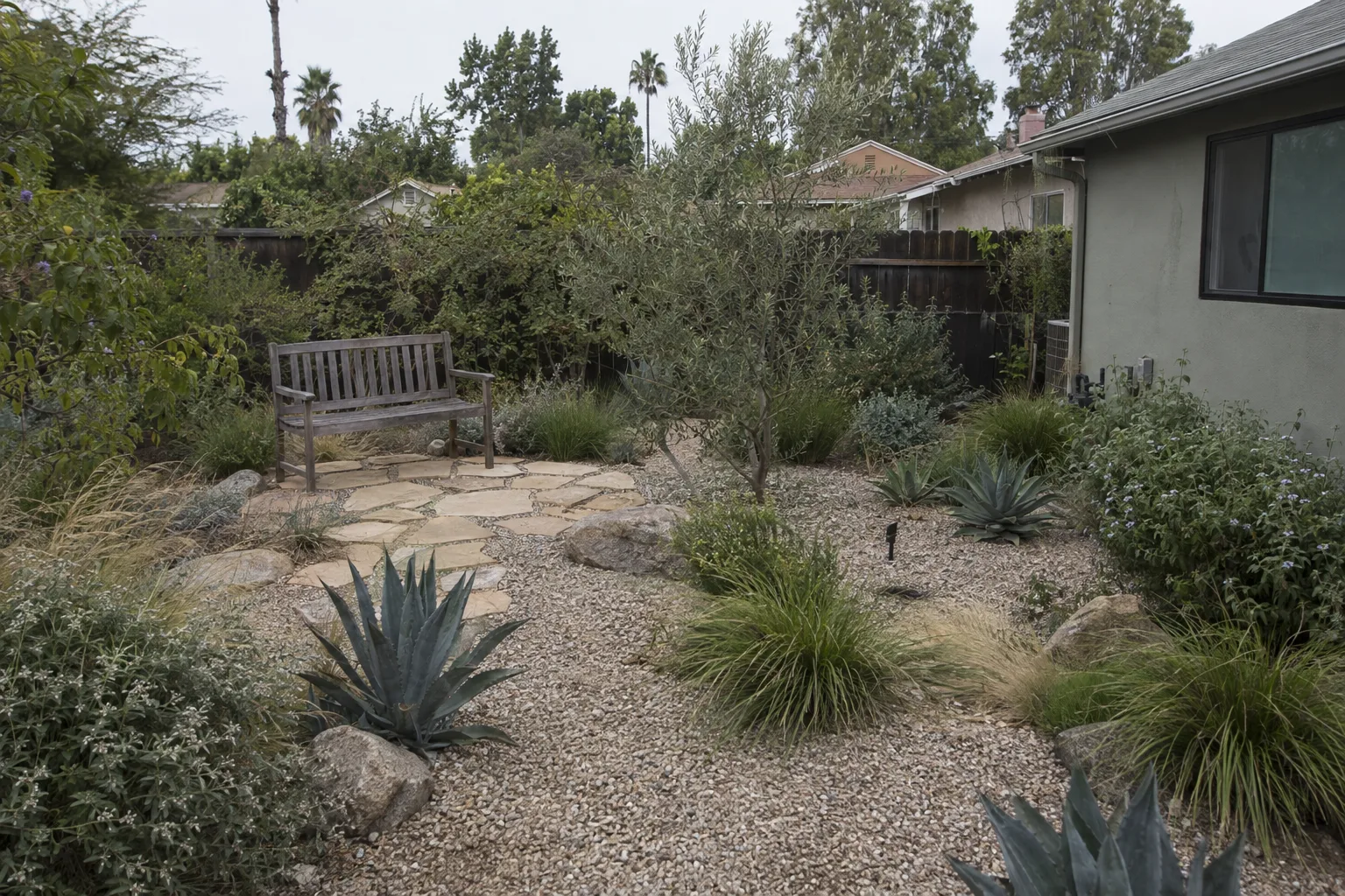 A fully established drought-tolerant Los Angeles backyard featuring native grasses, agave rosettes, and a gravel ground plane, with a wooden bench on a small flagstone pad under bright overcast morning light.