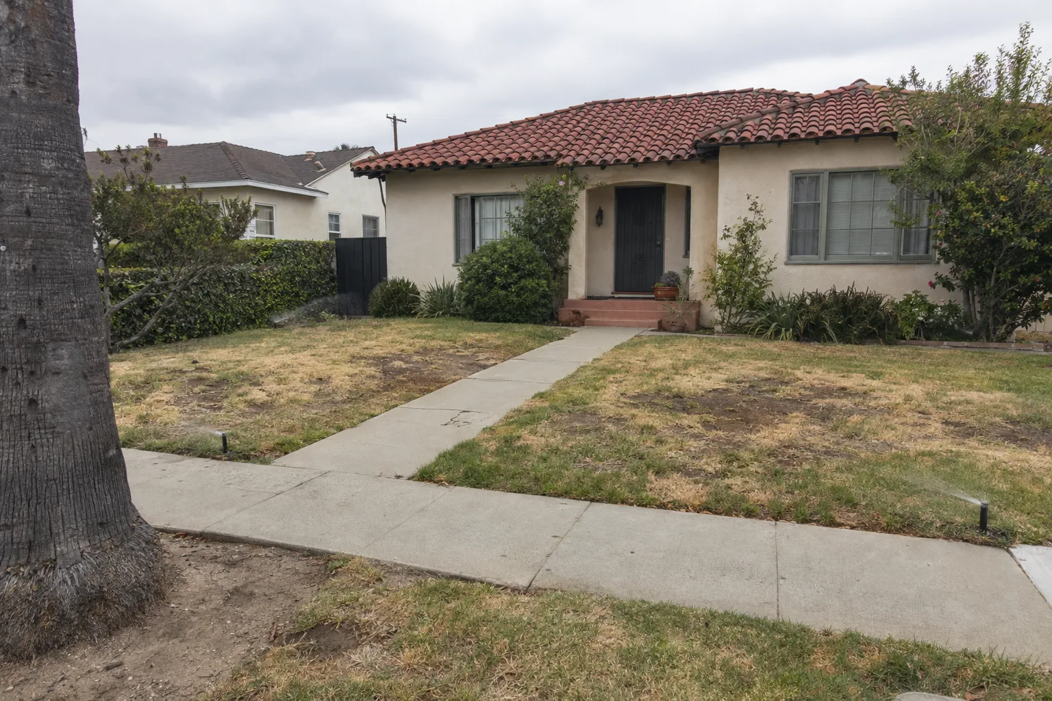 A patchy, yellowing front lawn on a Los Angeles residential property, with sprinkler heads visible at the edges and a stucco bungalow in the background