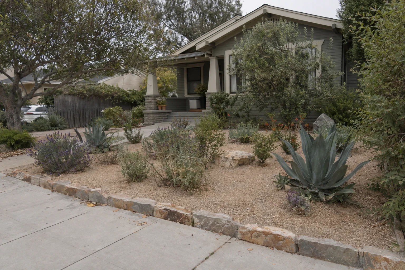 A finished drought-tolerant Los Angeles front yard with decomposed granite, native salvia and agave plants, and a low flagstone border in warm late-afternoon light