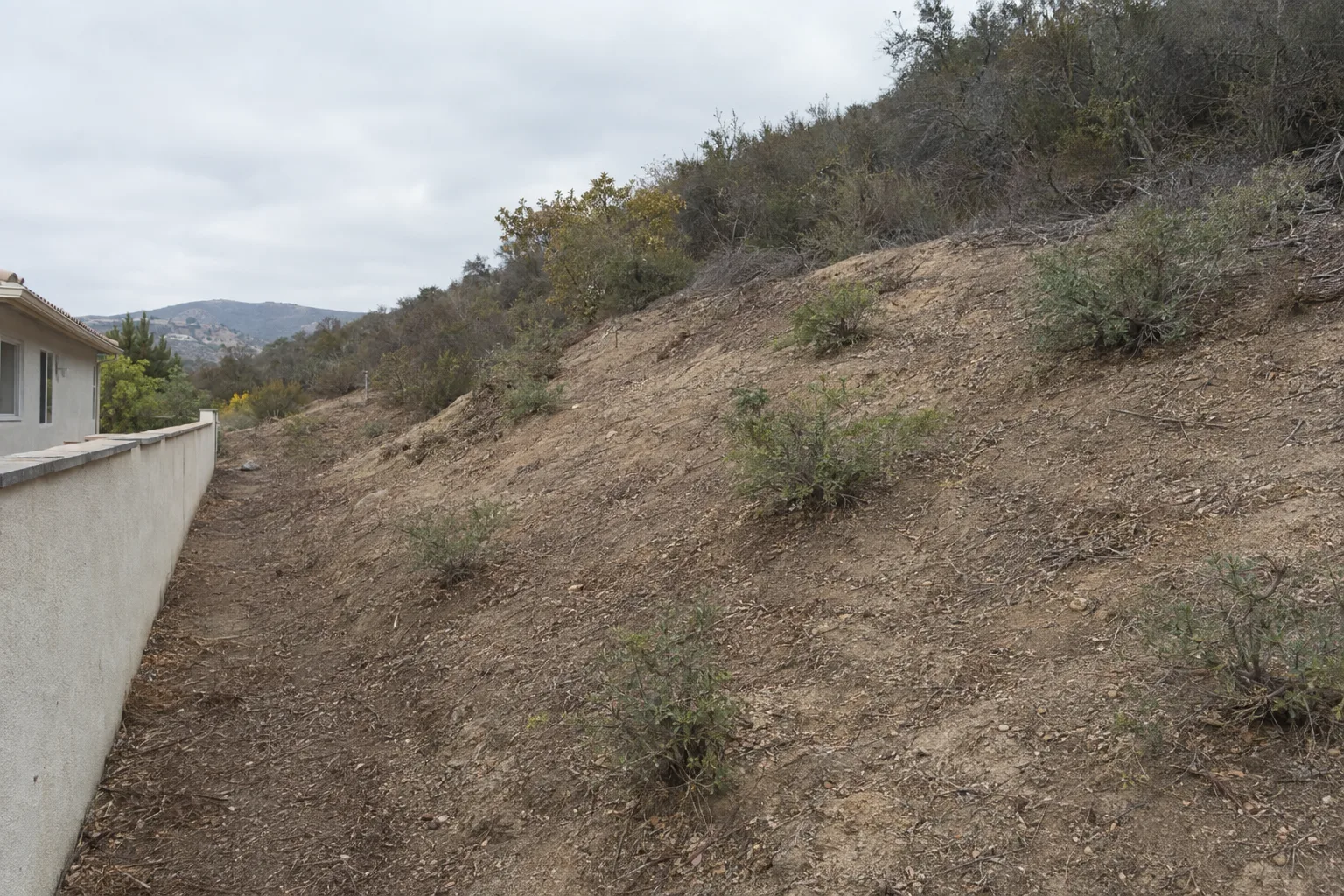 A cleared hillside slope in Southern California showing exposed decomposed-granite soil and widely spaced low native shrubs within a defensible space corridor, with dense uncleared chaparral visible further up the hill