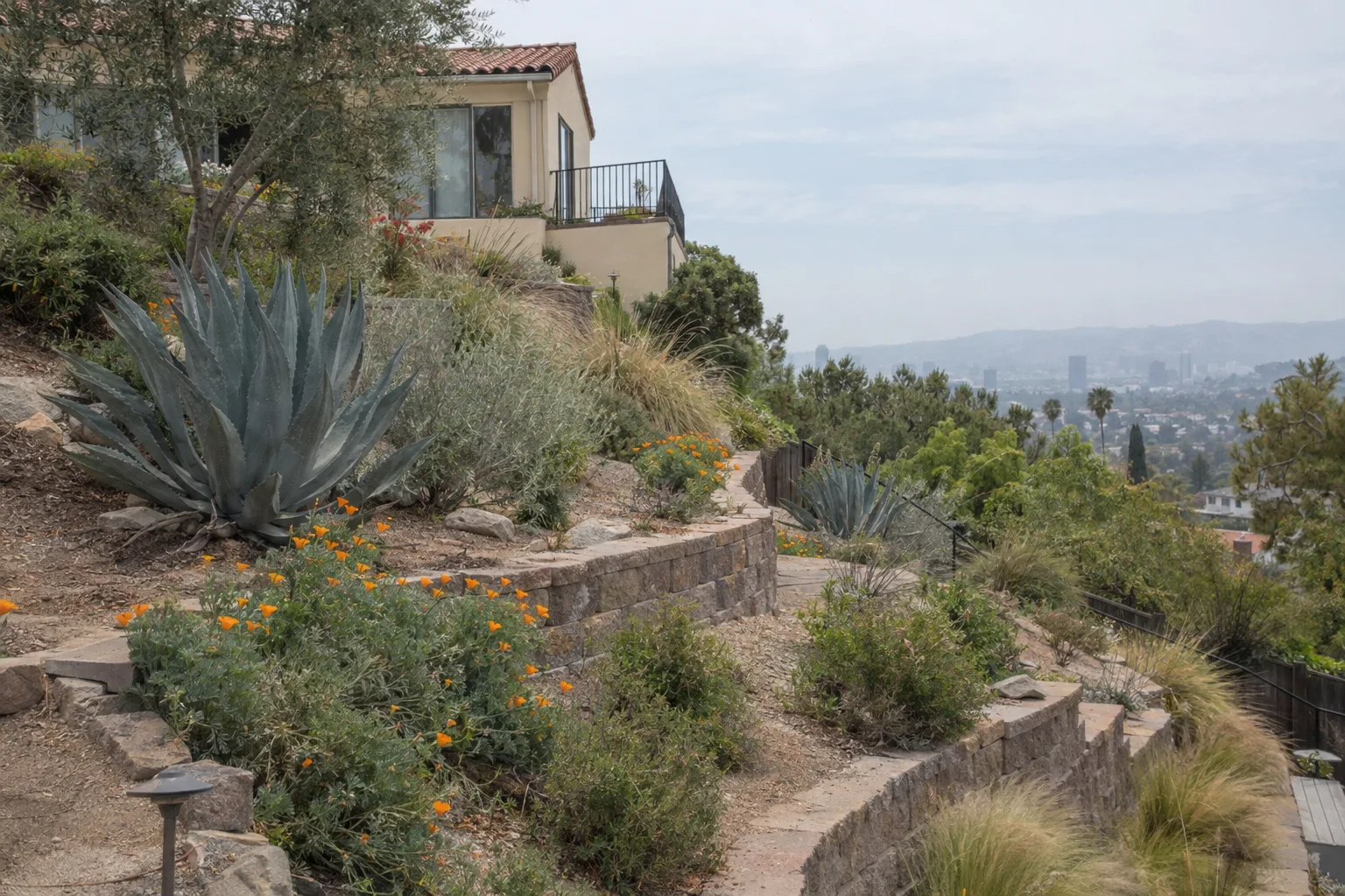 A tiered retaining wall on a hillside Los Angeles backyard planted with agave and native grasses under soft morning light