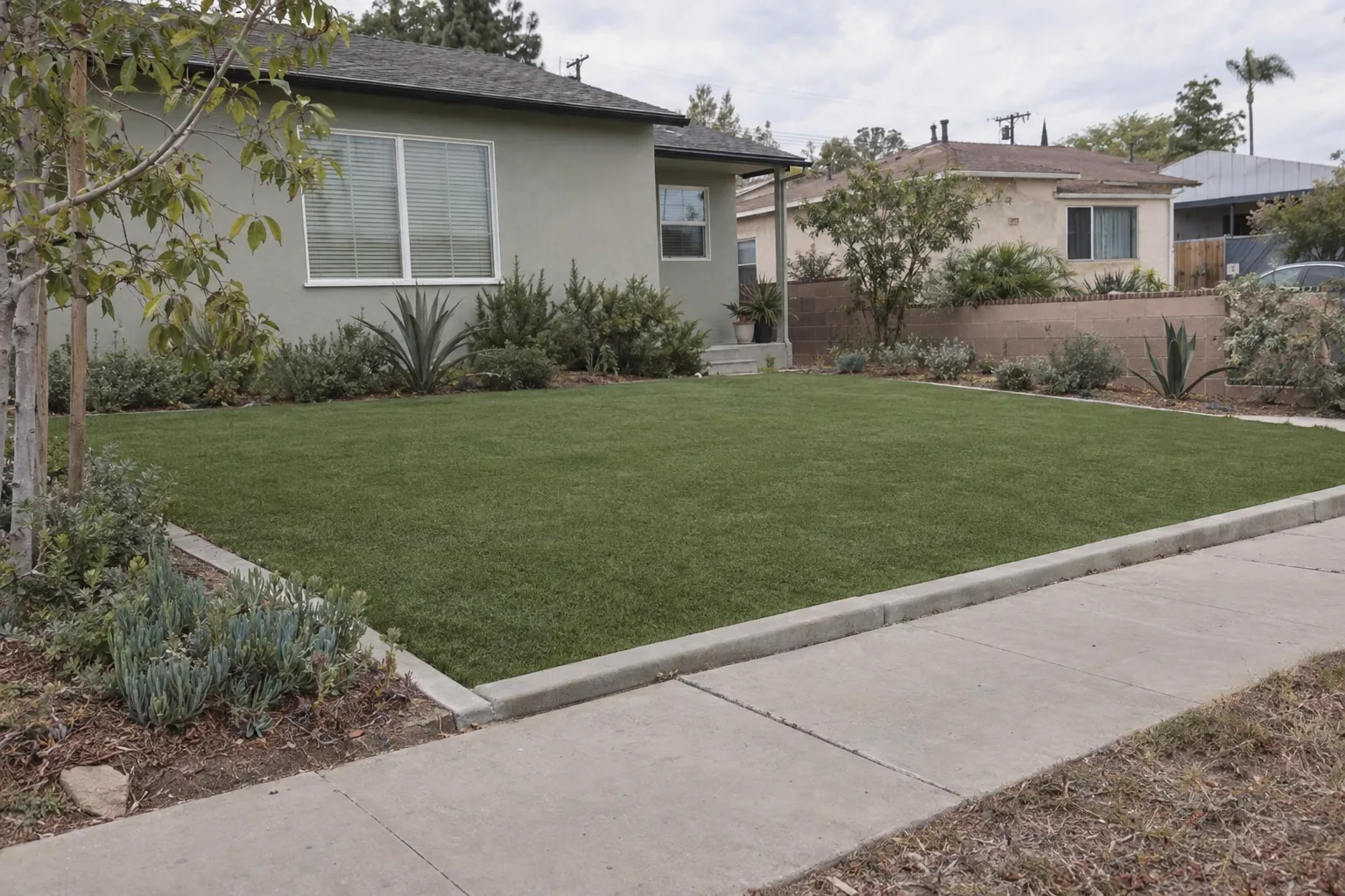 A freshly installed artificial turf front lawn bordered by a concrete mow-edge and low drought-tolerant shrubs in bright California sunlight