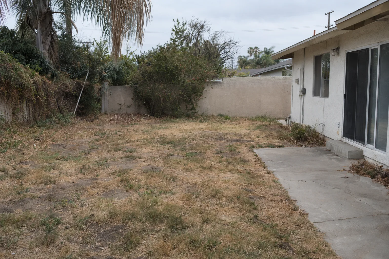 A neglected Los Angeles backyard with patchy yellowed grass, overgrown shrubs, bare dirt patches, and debris along a stucco wall, photographed in flat midday light