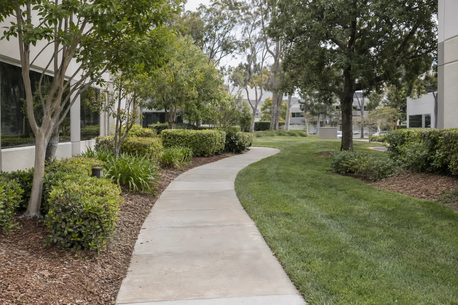 Neatly maintained commercial grounds at an LA office park with edged turf, trimmed hedges, and mulched planting beds along a paved walkway