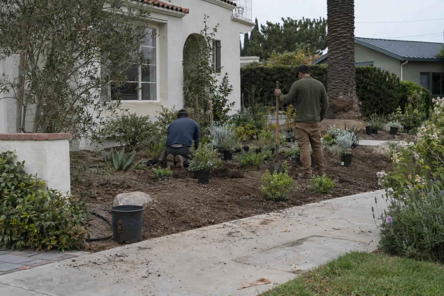 Two landscaping workers seen from behind installing plants in a garden bed at a residential property, with a stucco home and palm tree in the background