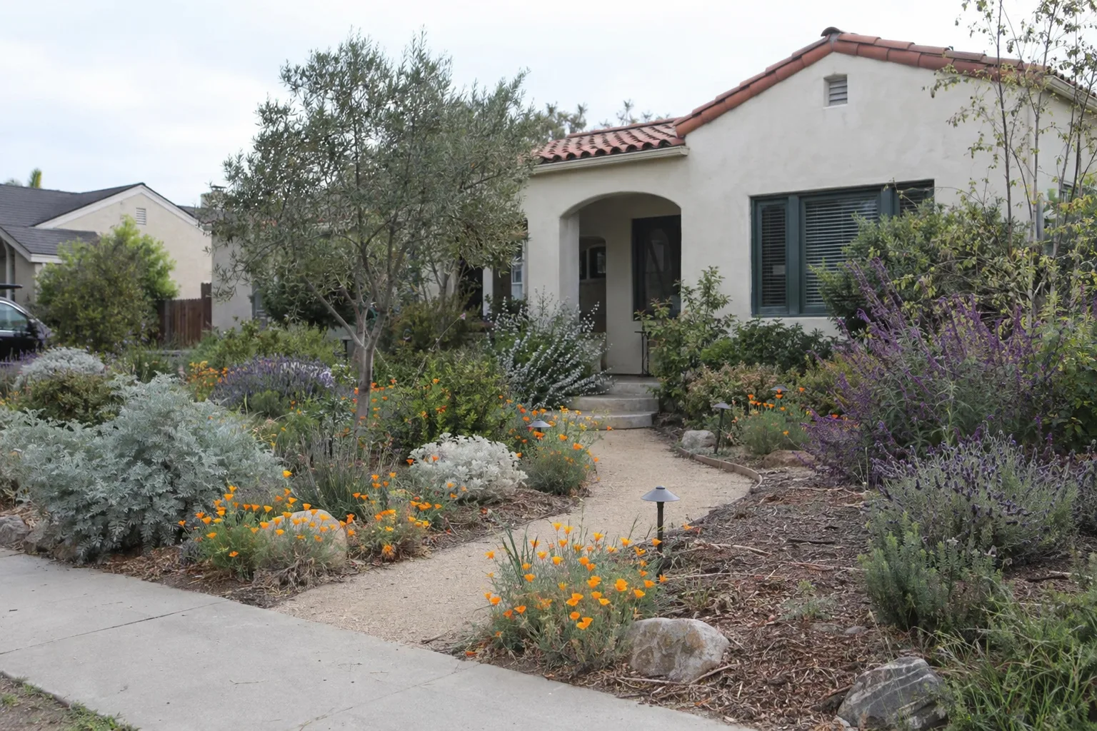 A drought-tolerant Los Angeles front yard with California poppies, lavender, salvia, and decomposed-granite paths in front of a stucco bungalow