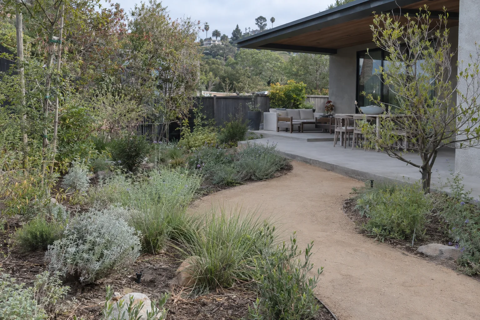 A newly completed residential landscape with native shrubs in layered beds, a curved decomposed-granite path, and a concrete patio under warm late-afternoon sunlight
