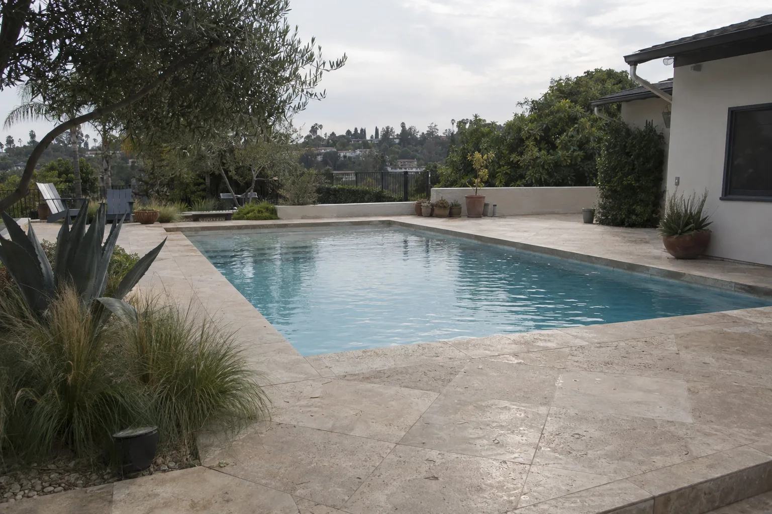 A residential pool with travertine decking and coping, surrounded by ornamental grasses, agave, and succulents in afternoon sunlight