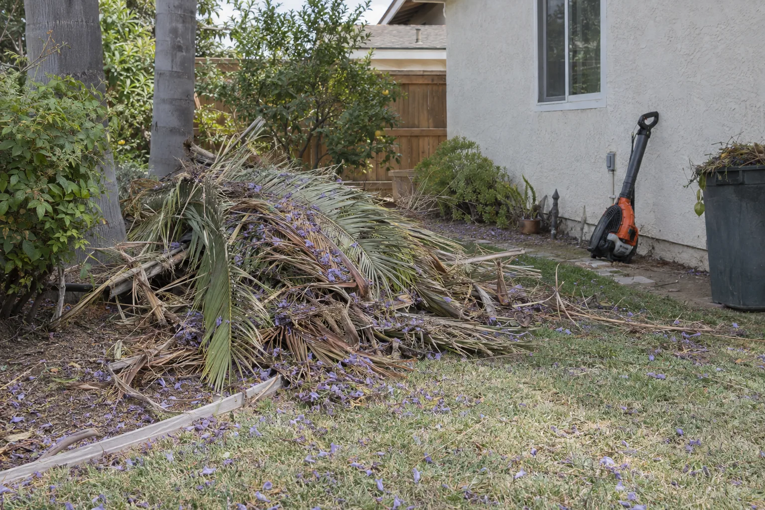 A pile of palm fronds and fallen leaves gathered during a residential yard cleanup, with a leaf blower resting against a stucco wall in late afternoon sun