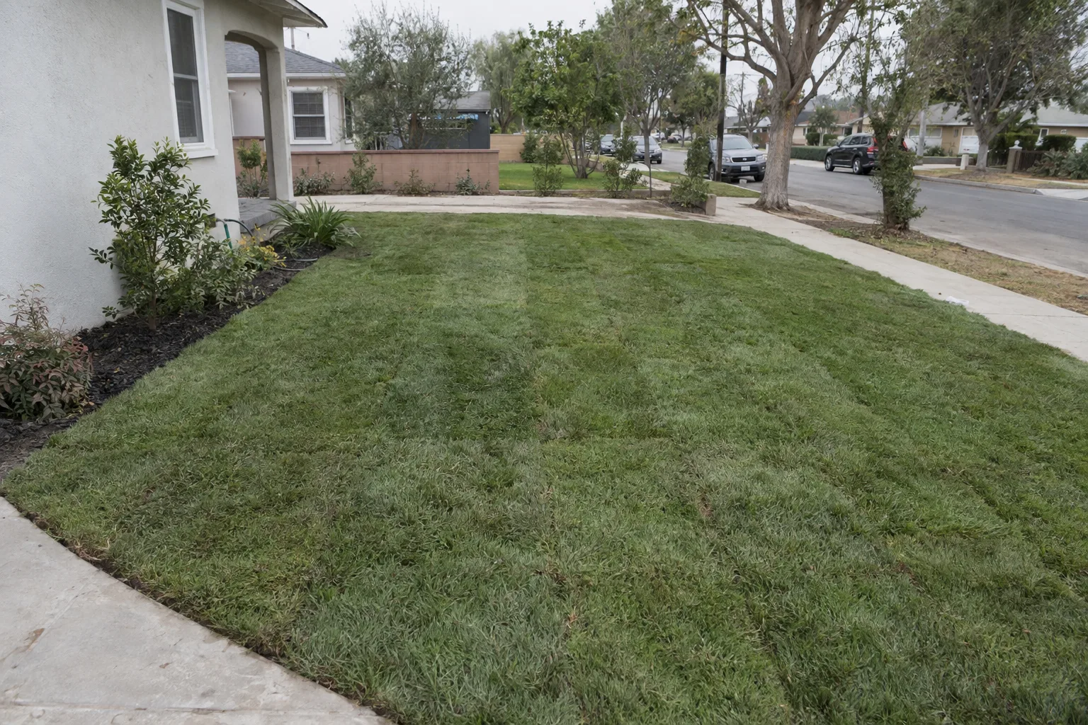 Freshly laid sod rolls installed in neat seams across a prepared residential front yard with a stucco home edge visible