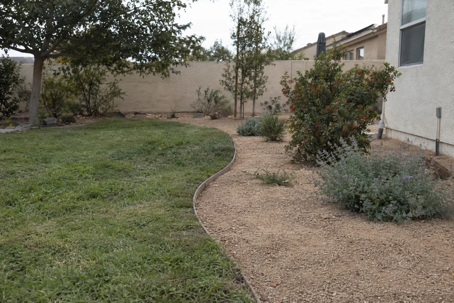 A Los Angeles backyard mid-conversion with turf on one side and newly installed decomposed granite and native California plantings on the other, in warm afternoon light
