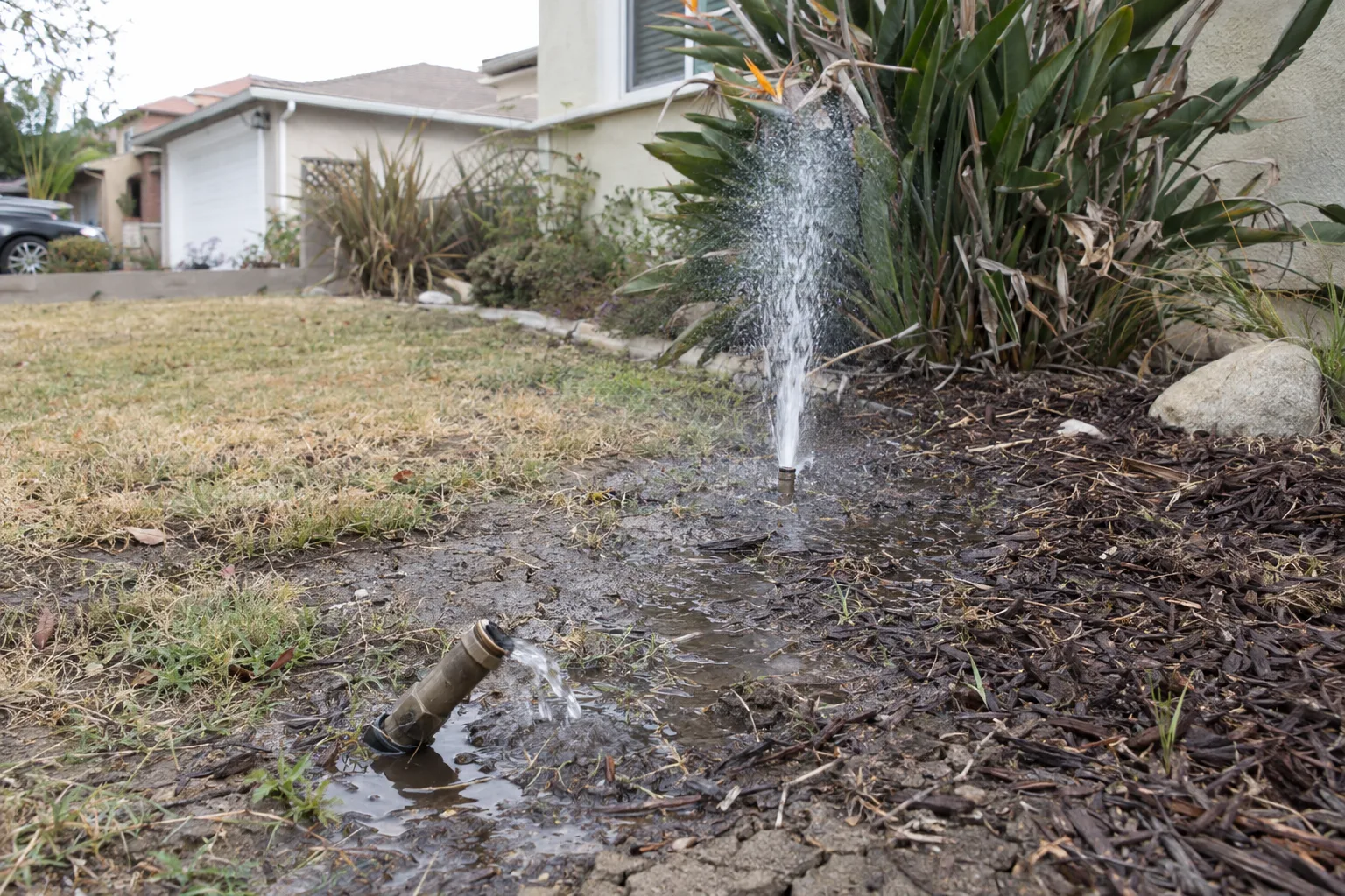 A failing front-yard irrigation system in an LA residential yard, with a tilted pop-up sprinkler head puddling water on cracked dry soil, a missing nozzle cap causing uncontrolled spray, and patchy yellowed lawn grass nearby