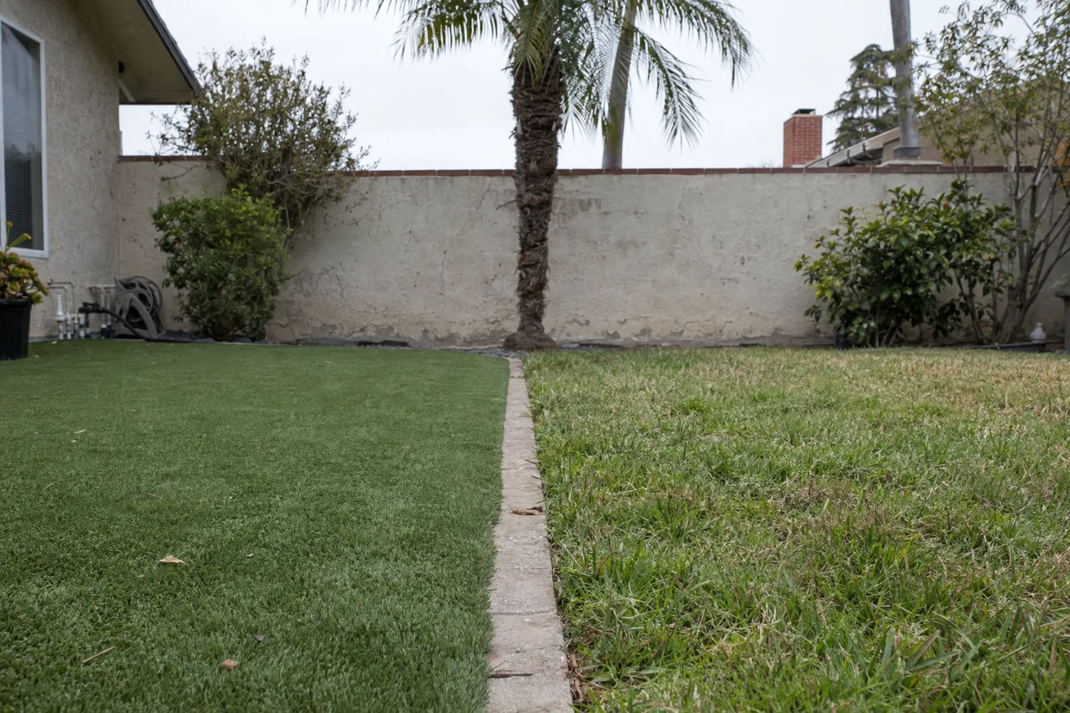 A Los Angeles backyard divided by a low border edge, with artificial turf on one side and natural grass lawn on the other, a stucco wall and palm tree visible in the background.