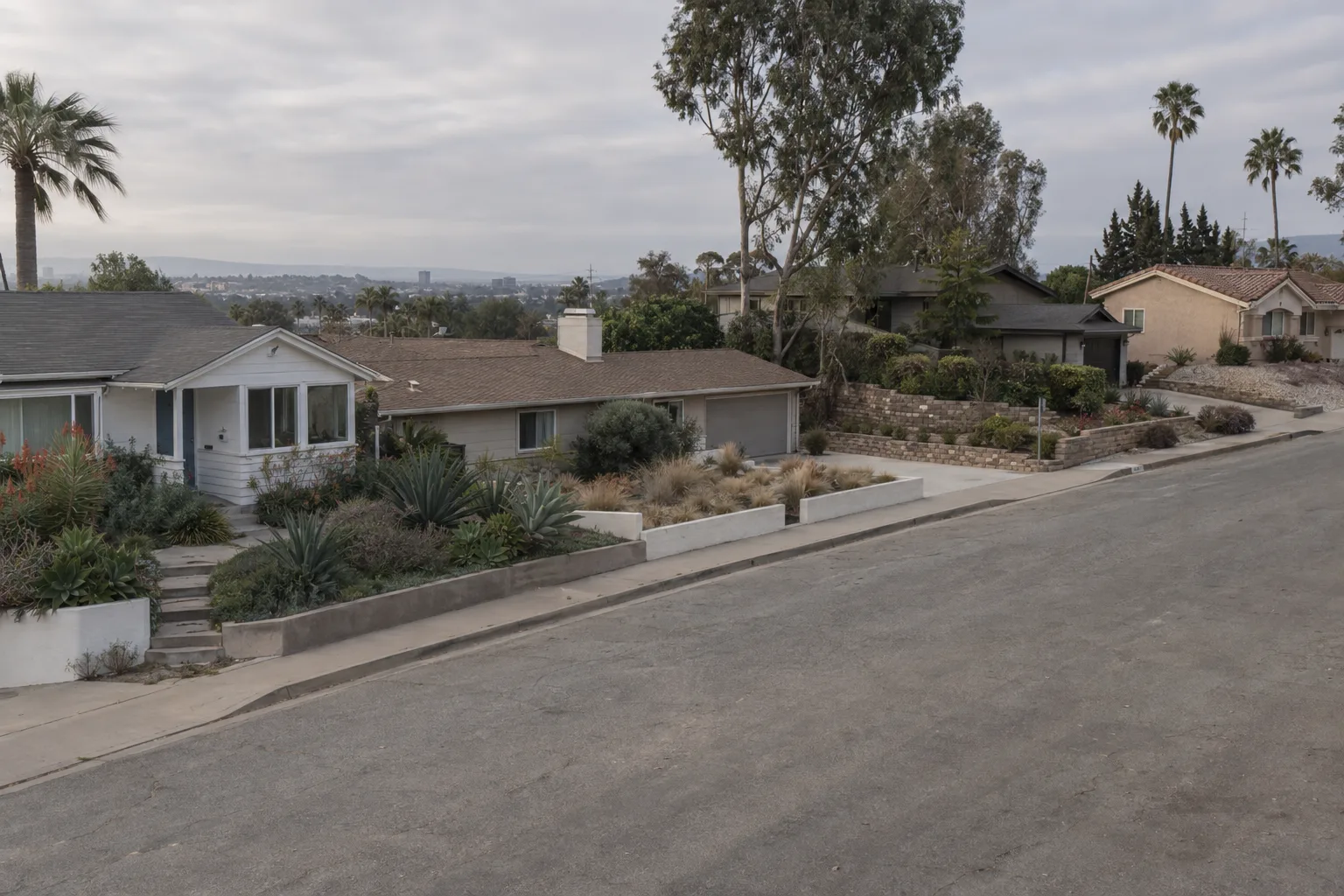A hillside Los Angeles street with four different residential front yards visible - featuring succulents, native grasses, a tiered retaining wall, and a gravel yard - with palm trees on the horizon in warm golden-hour light.