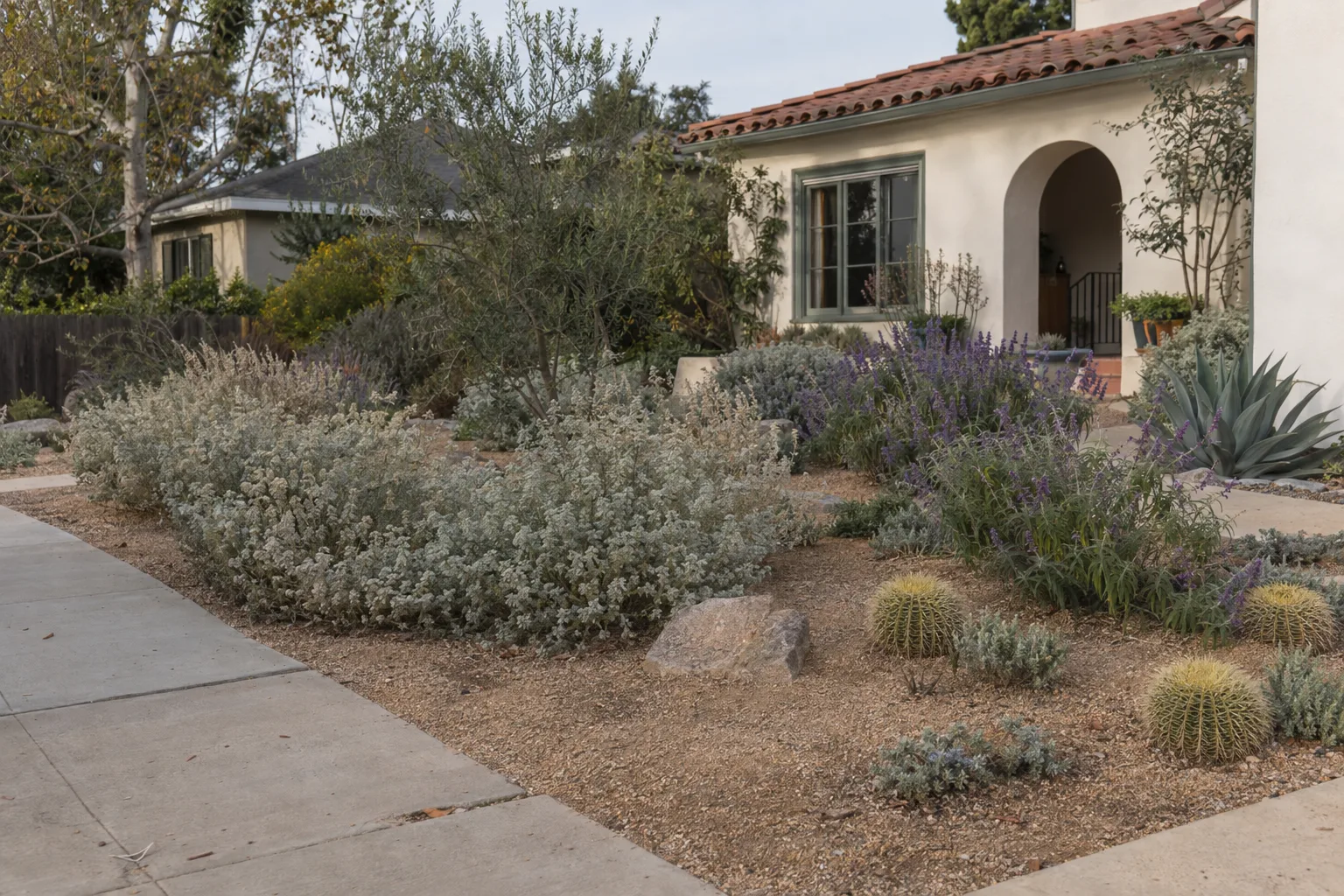 A finished drought-tolerant front yard with California native and low-water plants arranged in a decomposed-granite mulched bed in front of a stucco bungalow, with no lawn remaining.