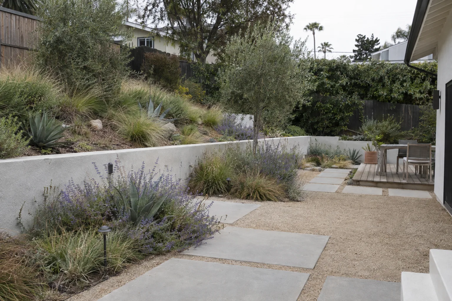 A completed Los Angeles backyard showing concrete pavers, decomposed granite paths, and drought-tolerant planting beds of agave, salvia, and ornamental grasses beside a low stucco retaining wall in late-afternoon sun