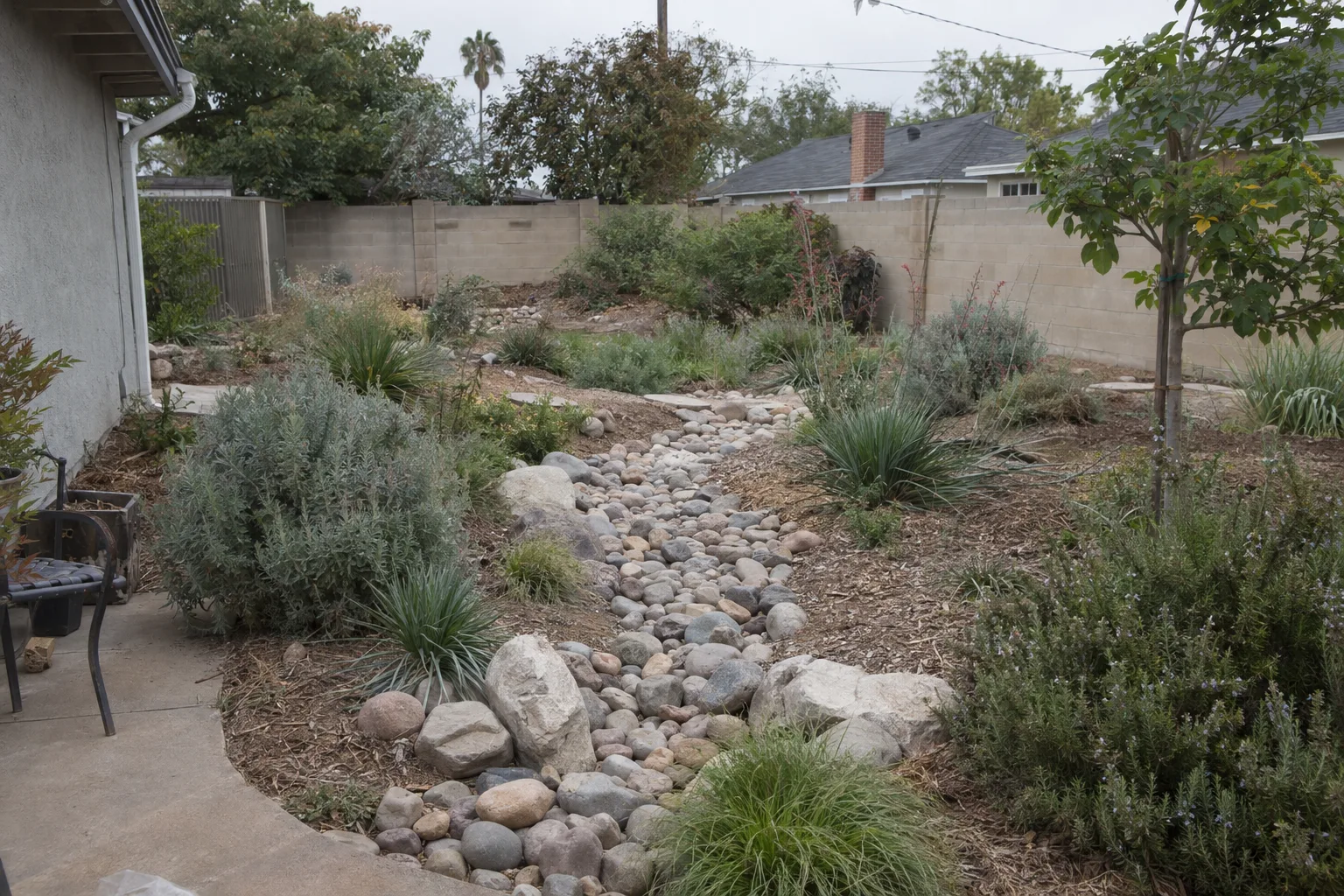 A Los Angeles residential backyard with a dry creek bed and planted drainage swale edged by native shrubs and a concrete-block perimeter wall under soft overcast light