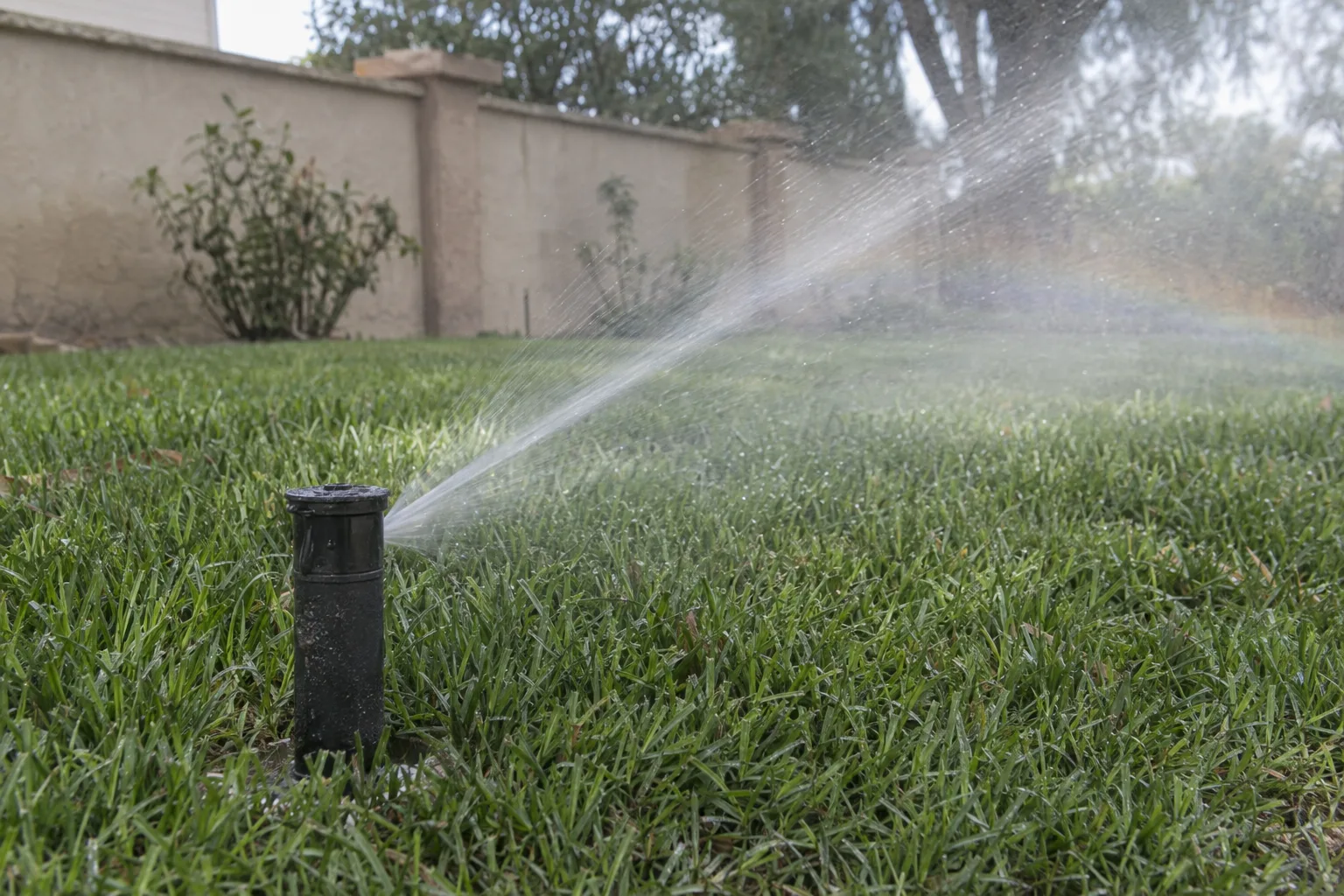 A pop-up lawn irrigation sprinkler head extended from the ground, spraying a fine arc of water over green grass in morning sunlight with a soft mist rainbow visible