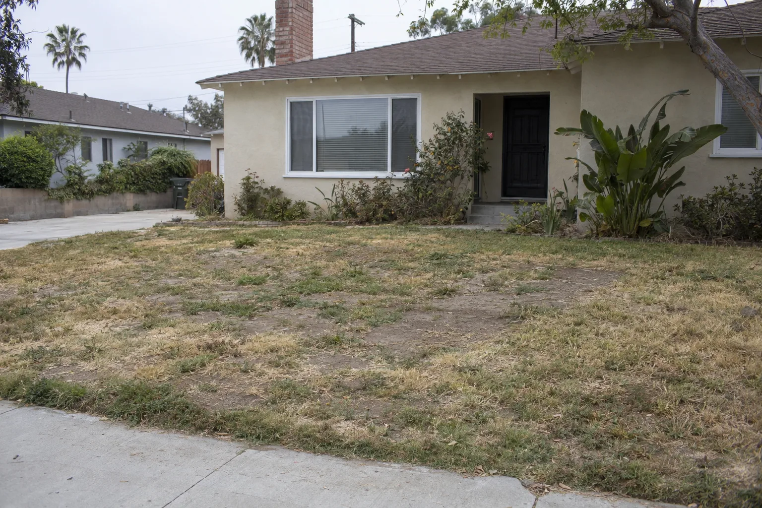 A patchy, drought-stressed front lawn in front of a stucco ranch home in Los Angeles, with bare soil patches, yellowed grass, and uneven growth