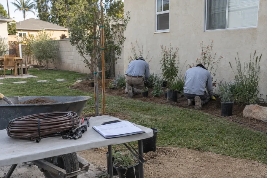 Two landscaping workers with their backs to the camera planting drought-tolerant shrubs in a neat garden bed along a stucco residential wall in Los Angeles, with a clipboard and irrigation supplies staged on a folding table nearby