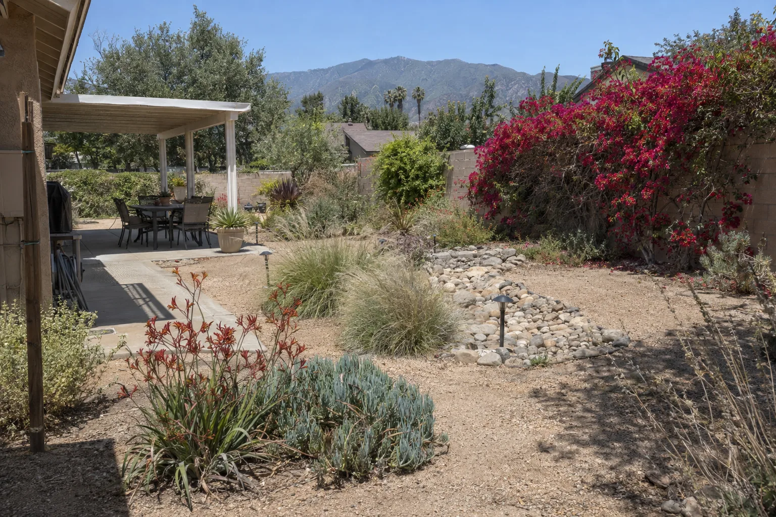 A sun-drenched inland LA residential garden with bougainvillea, ornamental grasses, and decomposed granite under intense midday summer sun against a block wall
