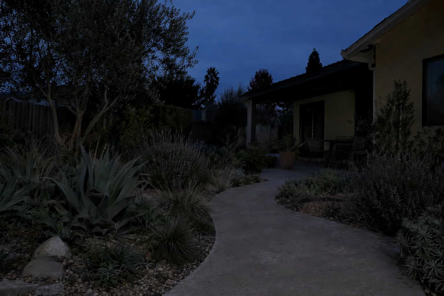 A Pasadena backyard with a cracked, uneven concrete slab, overgrown edges, and no defined walkway or outdoor living area
