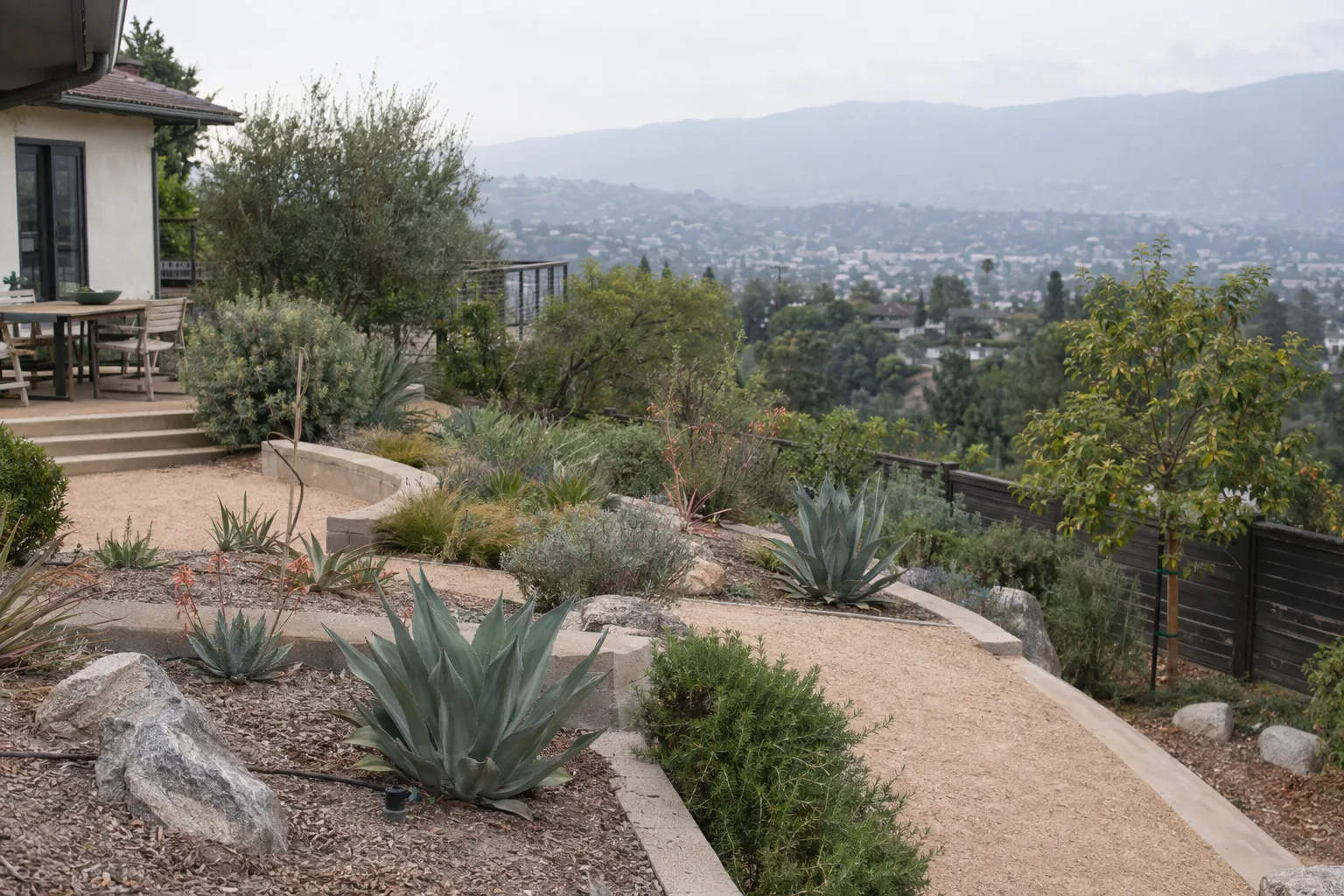 A tiered Los Angeles hillside garden with drought-tolerant agave plantings, decomposed-granite paths, and a visible drip irrigation emitter in warm afternoon light