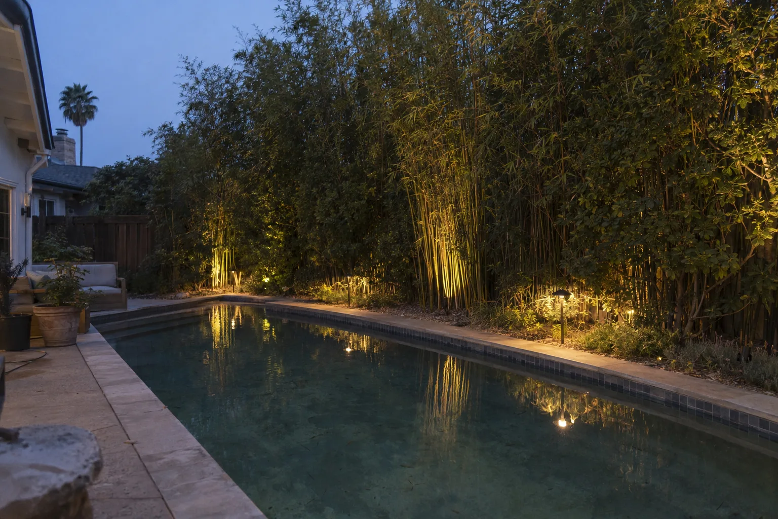 A backyard pool at dusk lined with tall privacy plantings and warm amber landscape lighting reflecting on calm blue pool water