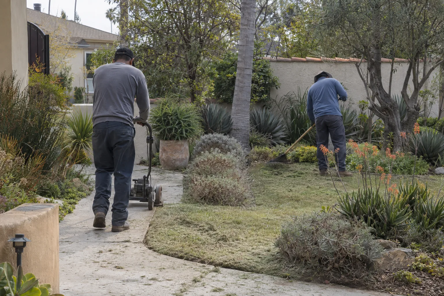 Two landscapers working in a Los Angeles residential garden, one edging a path and one raking, surrounded by drought-tolerant plants on a clear morning