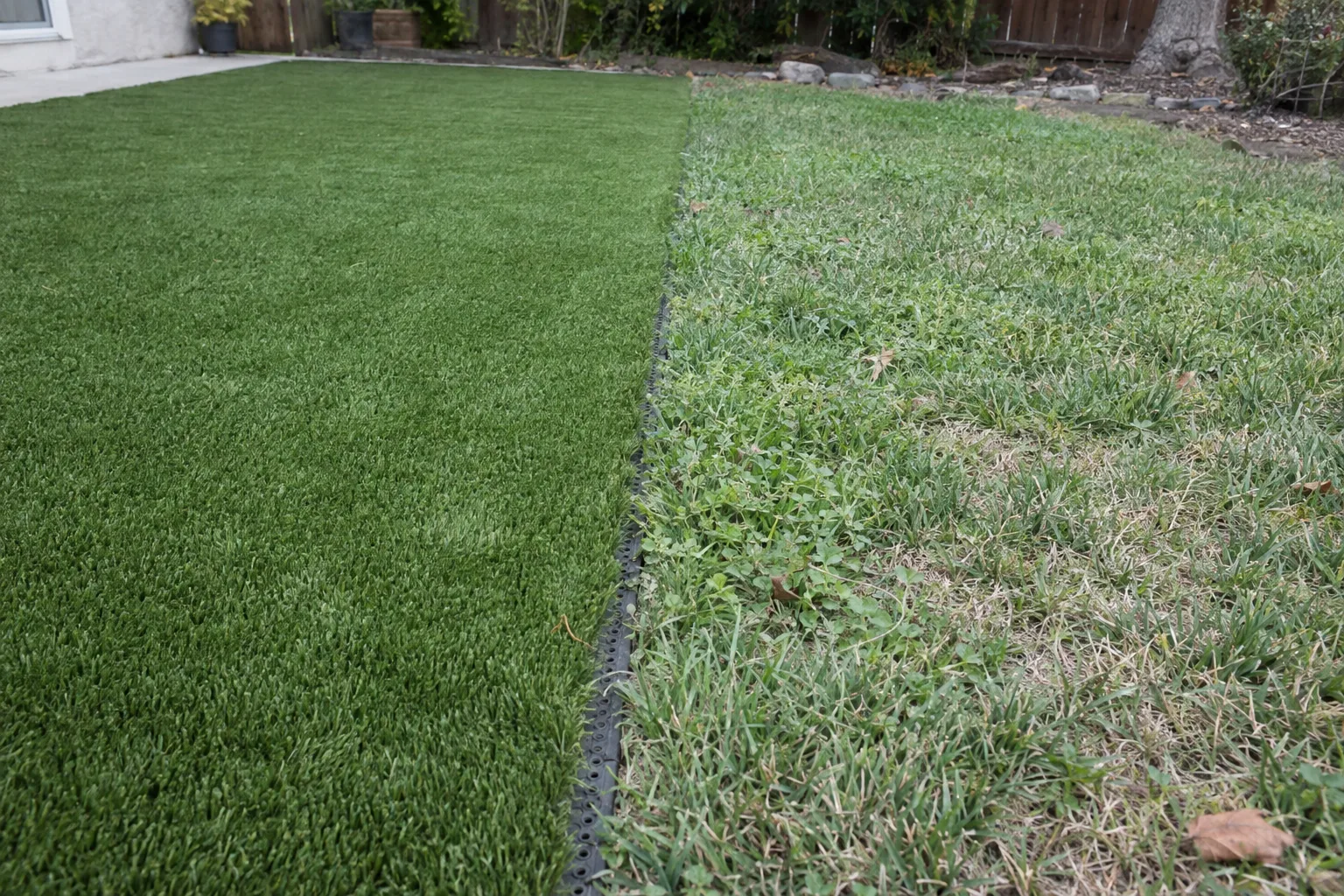 The edge between artificial turf and a natural grass strip in a suburban Los Angeles backyard, showing the contrast in texture and color