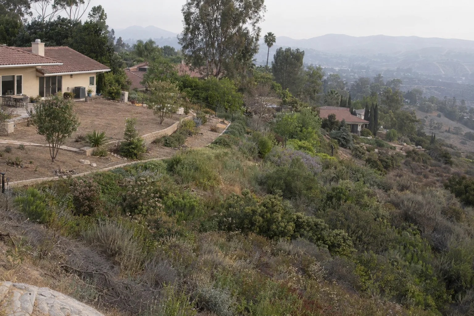 A wide view of a Southern California hillside neighbourhood showing concentric vegetation zones around homes, from cleared defensible space near structures to native shrub growth on the outer slopes, under warm late afternoon light.