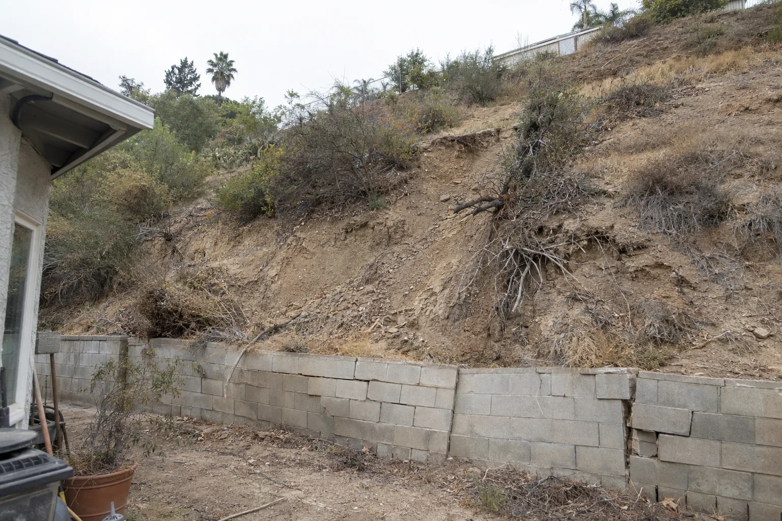 A steep backyard hillside slope with eroding dry soil, exposed plant roots, sparse dead vegetation, and a cracked low retaining wall at the base, typical of an unmanaged Los Angeles residential lot