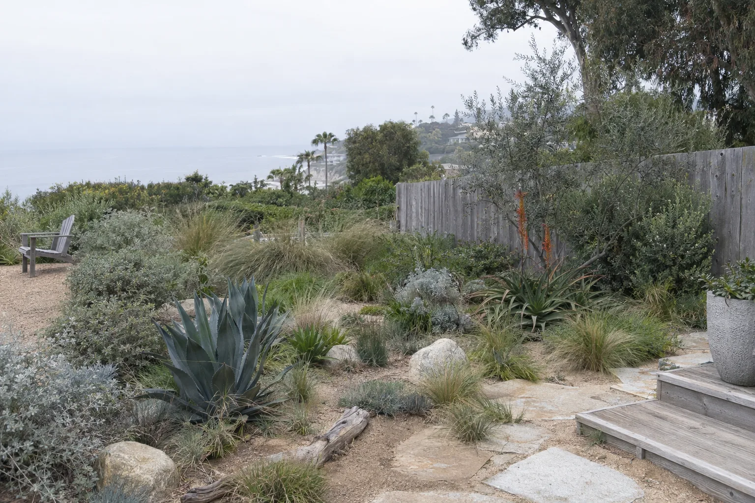 A coastal Los Angeles garden featuring low-water native plants, ornamental grasses, and succulents in sandy soil beside a weathered wood fence under a pale overcast sky