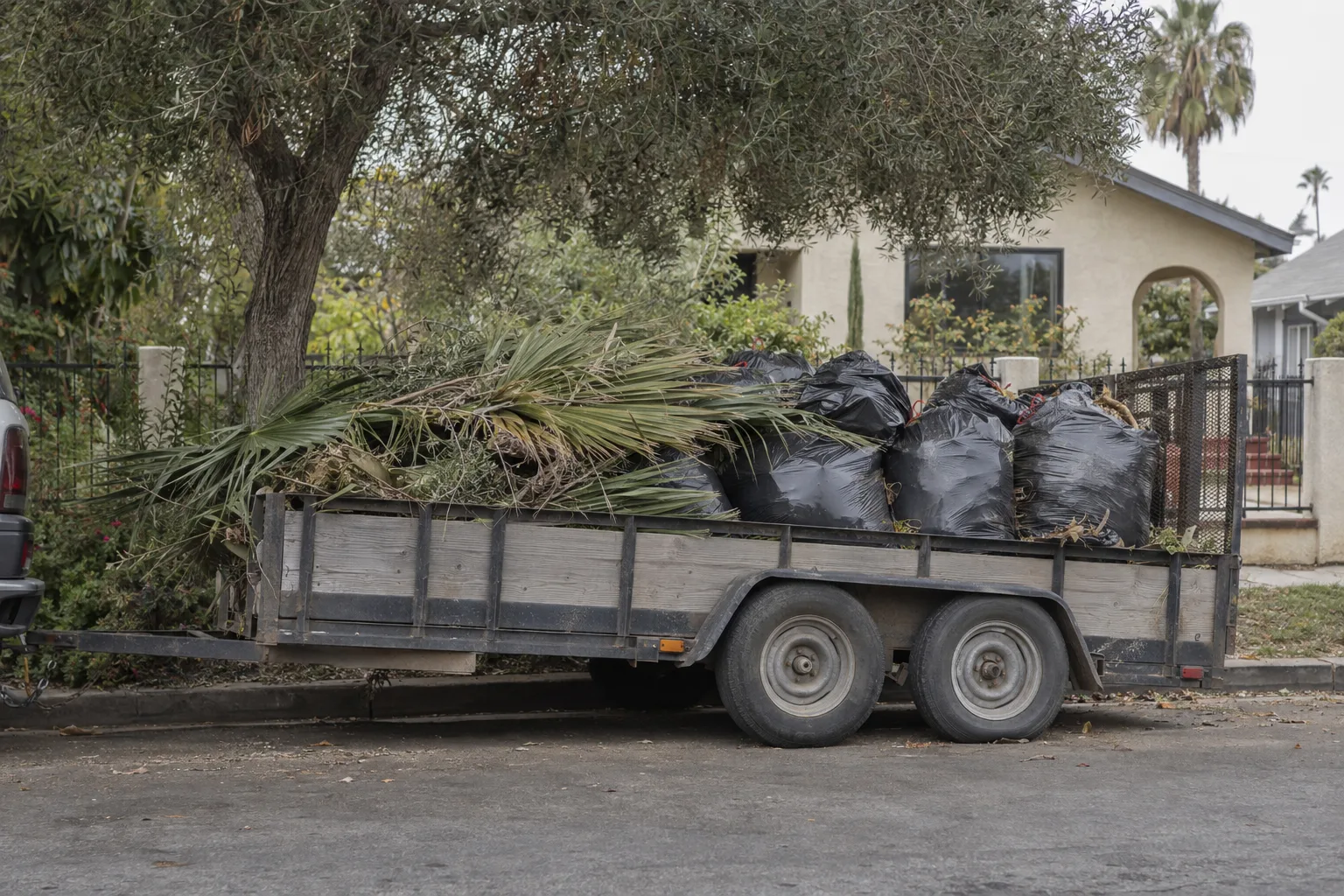 A utility trailer loaded with tied yard-waste bags and palm fronds parked at the curb of a Los Angeles residential street, a stucco bungalow and olive tree visible behind a fence