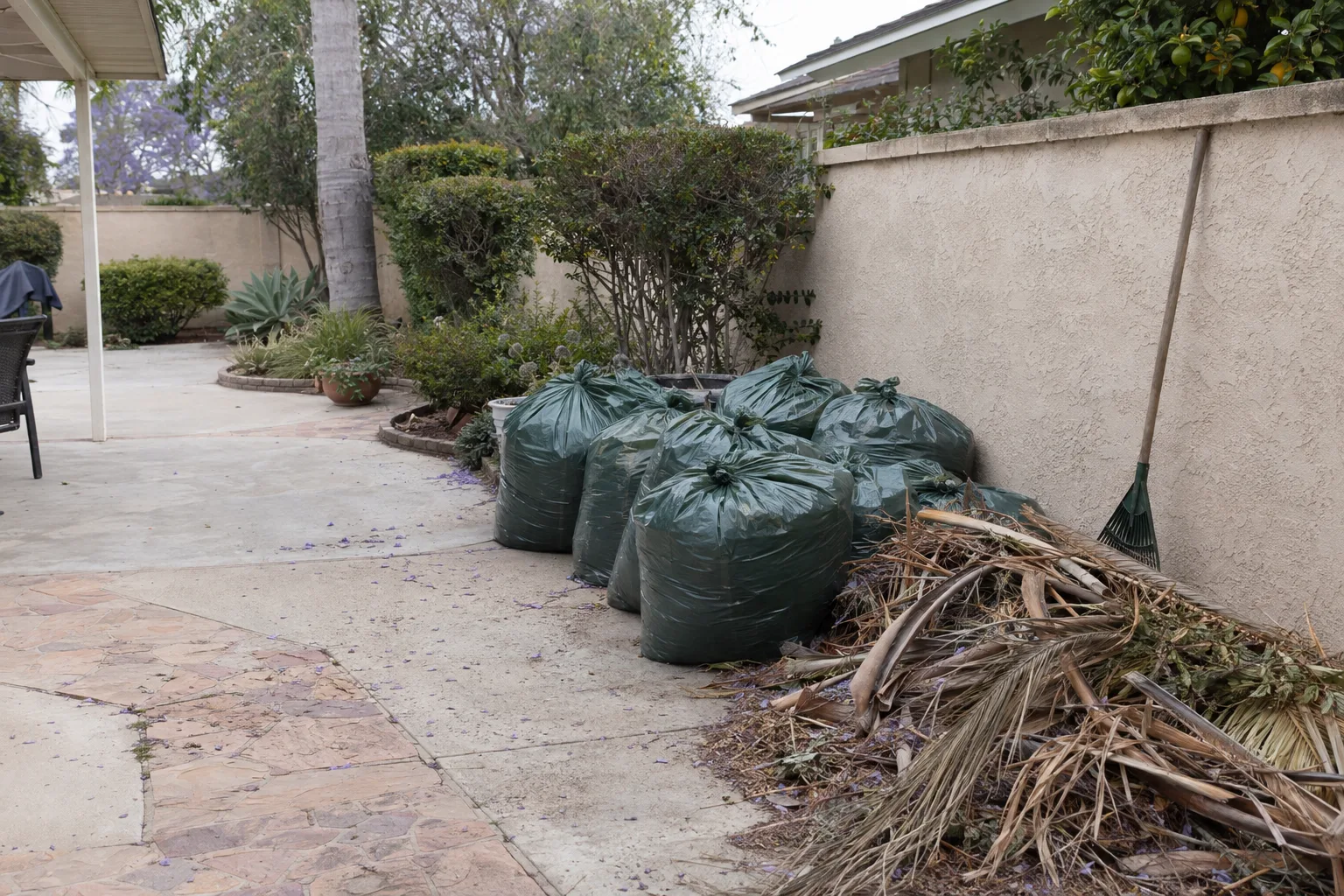A Los Angeles backyard mid-cleanup with tied green waste bags stacked along a stucco wall, palm fronds and leaf debris piled nearby, and neatly trimmed shrubs visible in the background