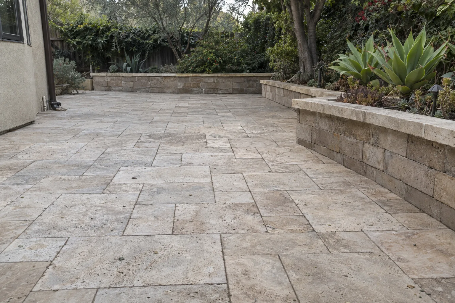 A finished travertine paver patio in a Los Angeles backyard with precise joint lines and clean border cuts around a built-in succulent planting bed, photographed in late-afternoon sidelight that highlights stone texture