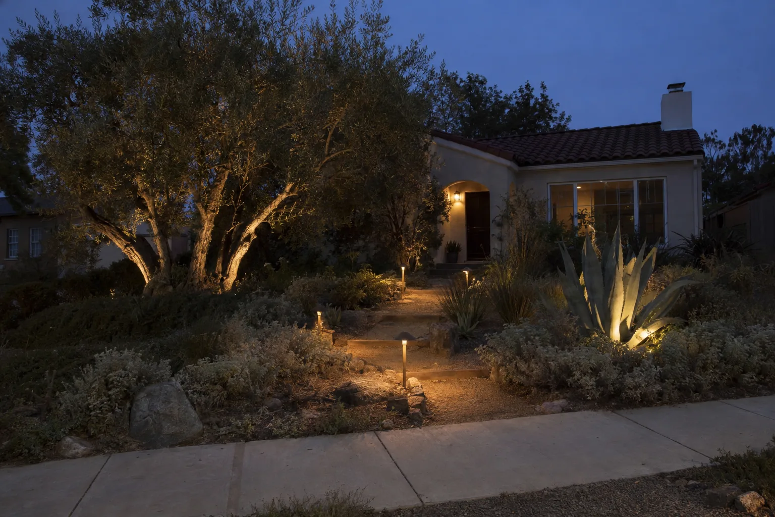 A Los Angeles front yard at dusk with brass path lights illuminating a decomposed-granite path, uplights on an olive tree trunk, and accent lights on an agave against a deep blue evening sky