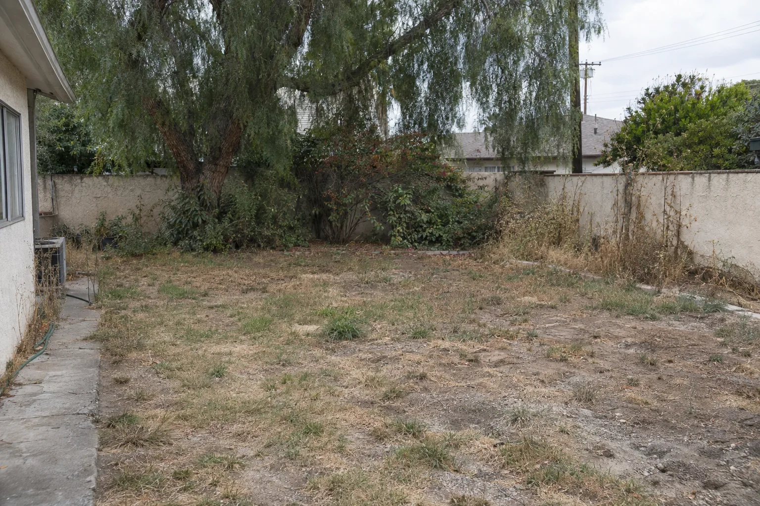 A neglected Los Angeles backyard with patchy dead grass, overgrown shrubs, cracked concrete edging, and bare dirt patches against a stucco perimeter wall