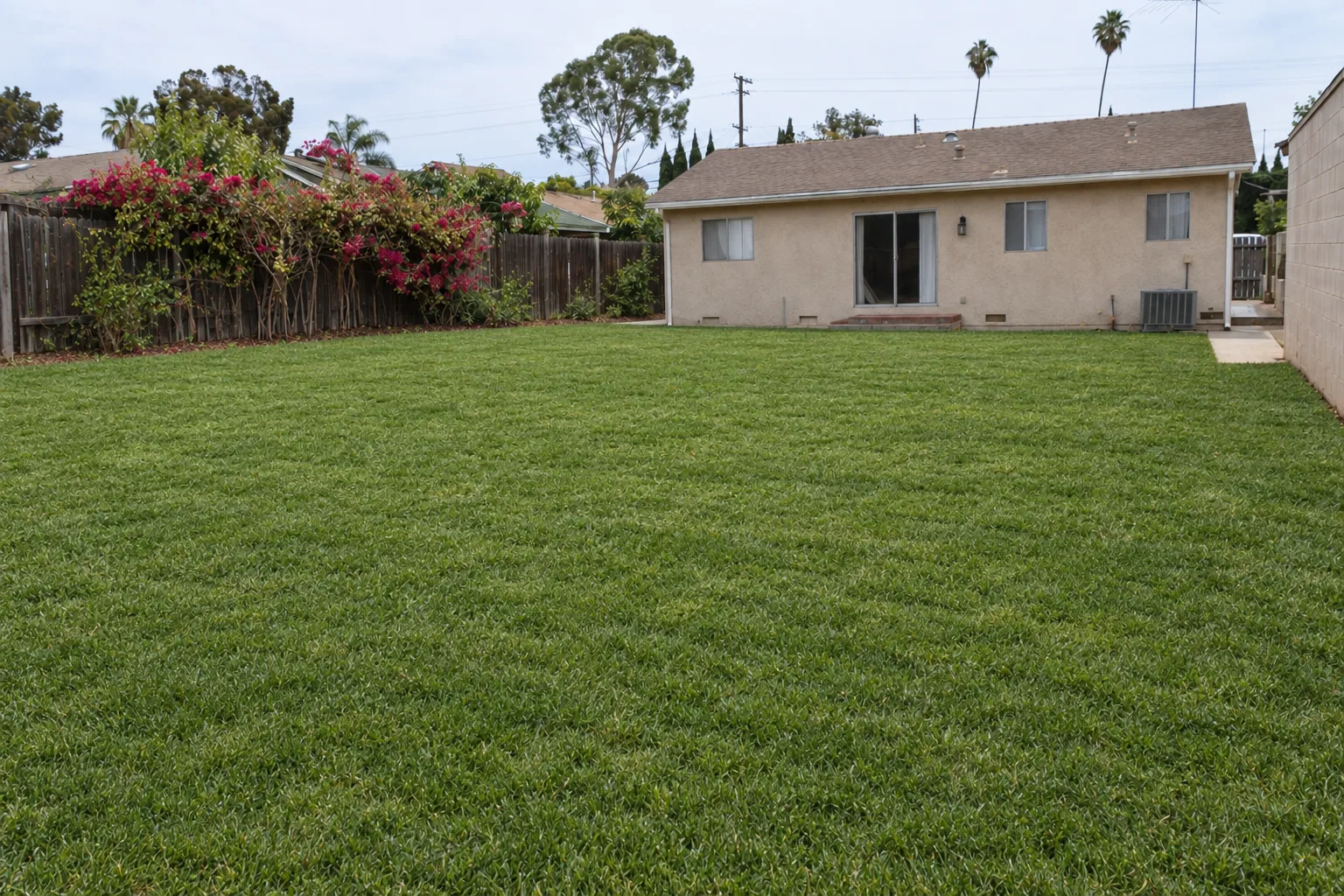 The same Los Angeles backyard after sod installation, showing a lush even green lawn fully covering the yard, with the same stucco house, wood fence, and bougainvillea visible in the background